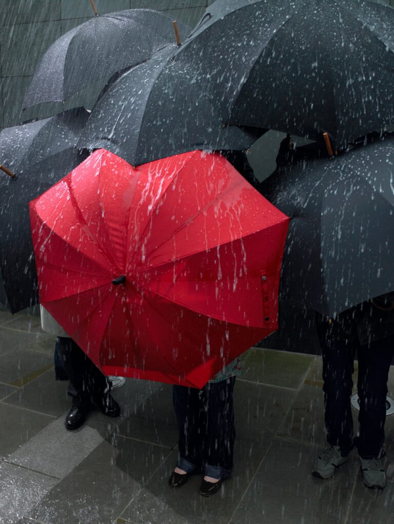 The North–South Divide (and Why Investors Should Care)